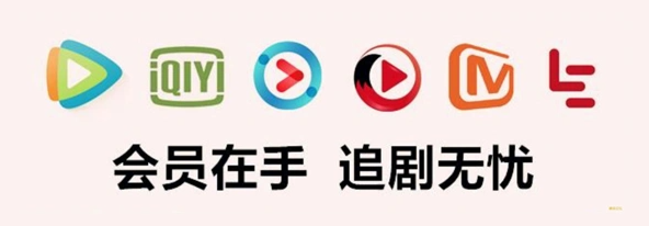 <h1>数字权益批发新趋势：全网会员货源一站式批发，低成本高利润的商业模式解读</h1>